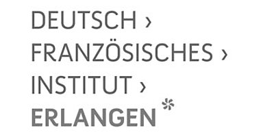 Deutsch Französisches Institut Logo